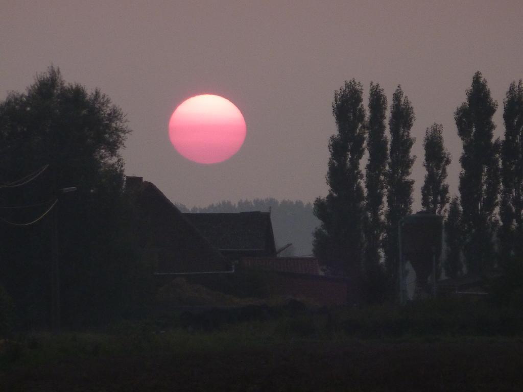 Guesthouse Kolibriehuys Nieuwkerke Bagian luar foto
