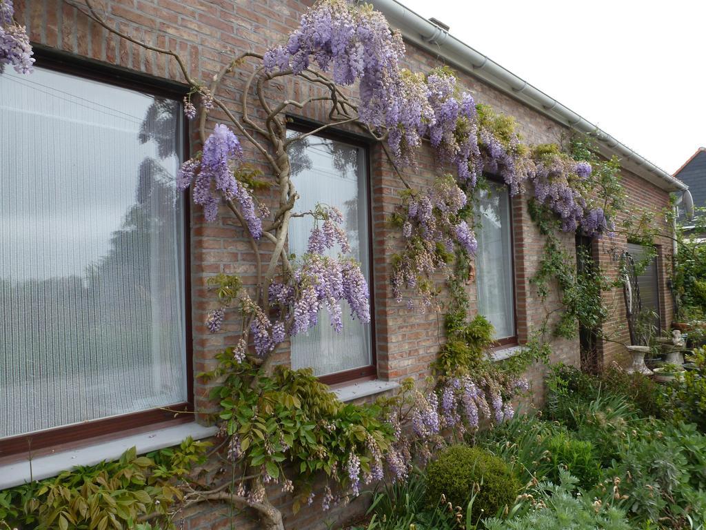 Guesthouse Kolibriehuys Nieuwkerke Bagian luar foto
