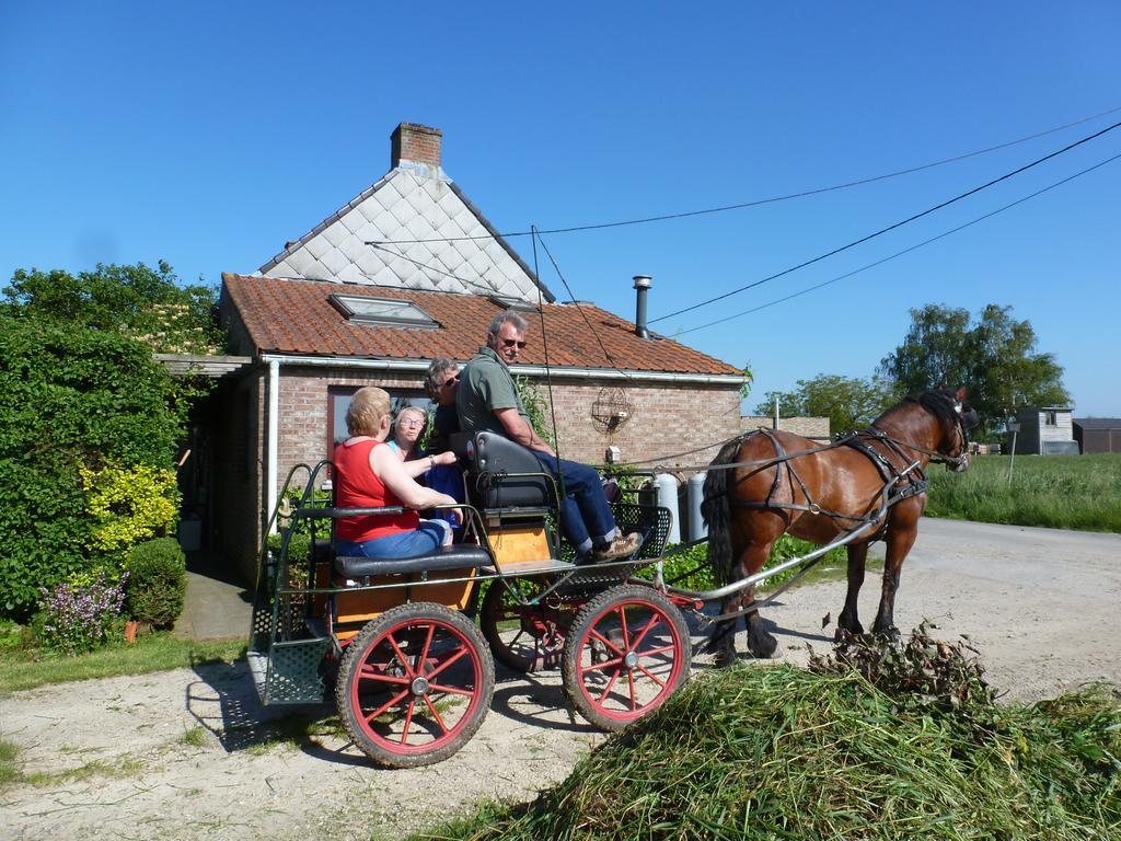 Guesthouse Kolibriehuys Nieuwkerke Bagian luar foto