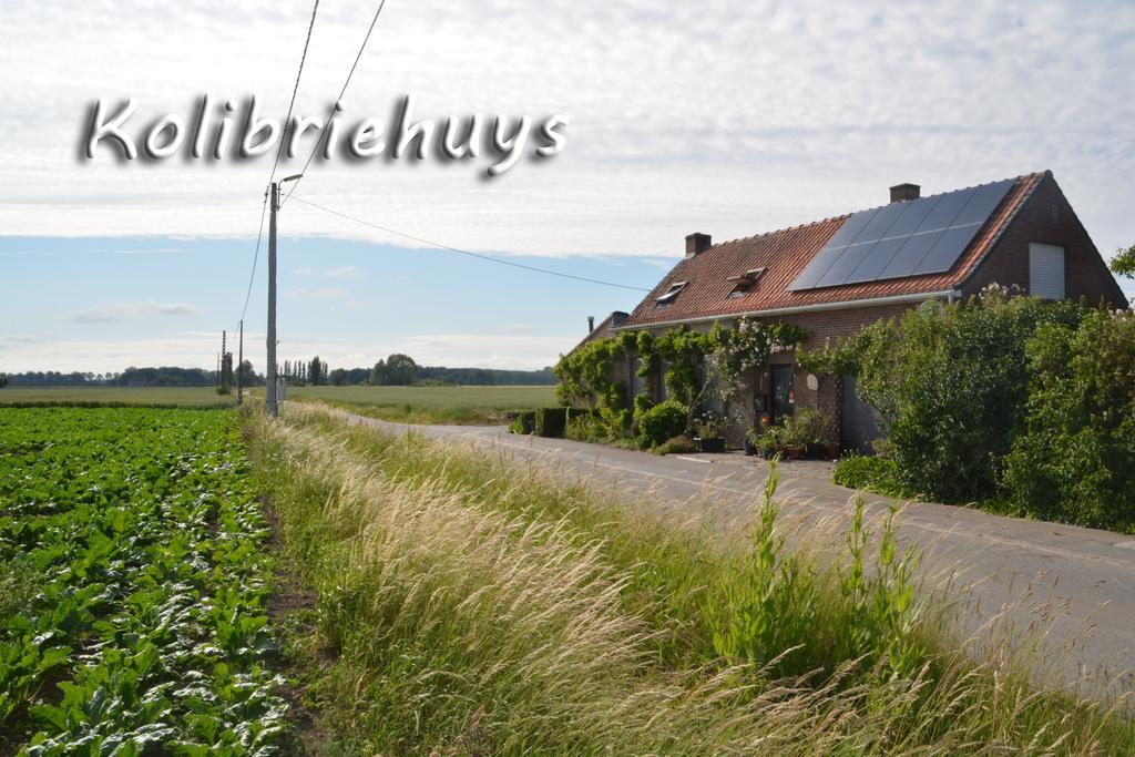 Guesthouse Kolibriehuys Nieuwkerke Bagian luar foto