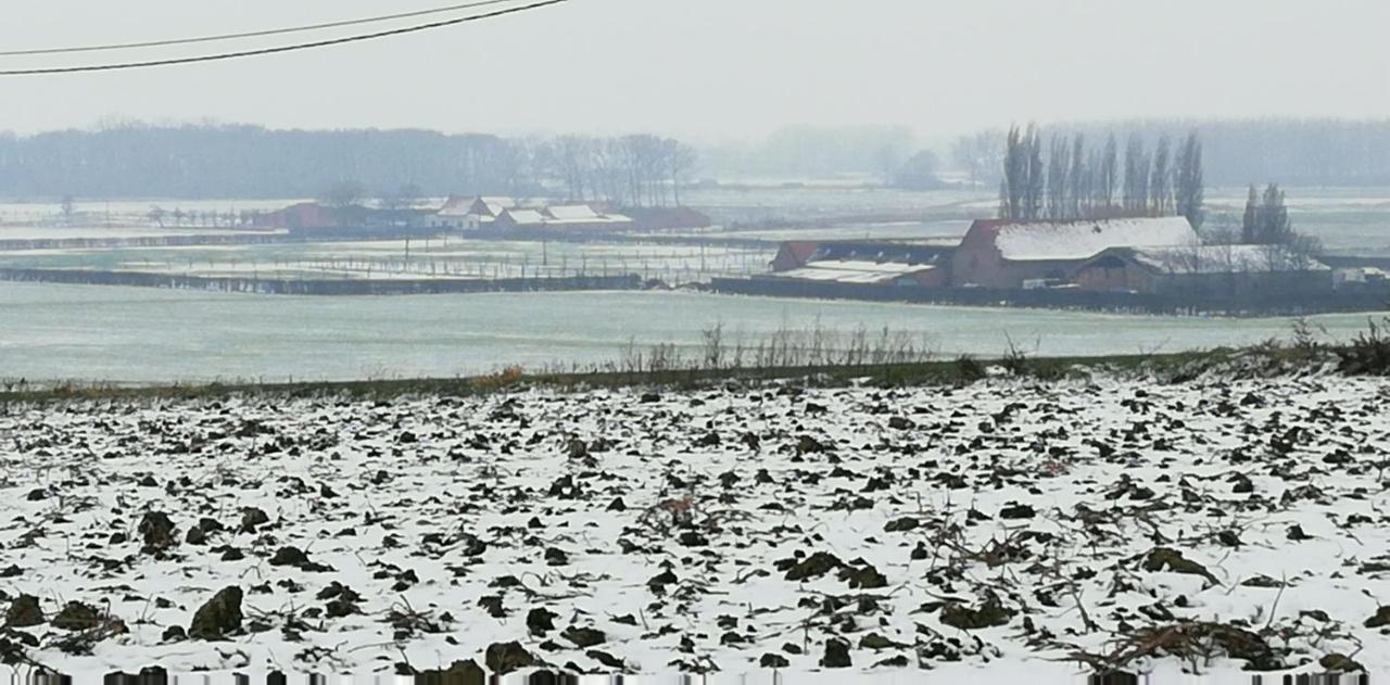 Guesthouse Kolibriehuys Nieuwkerke Bagian luar foto